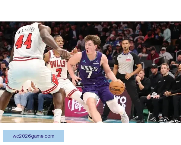 克努佩尔三双领黄蜂力克尼克斯鲍尔贡献22分助攻